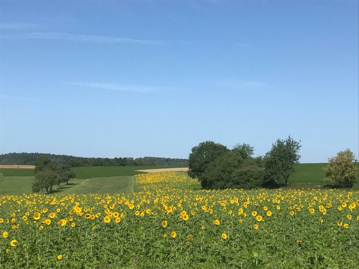 Souterrain Ferienwohnung Haigerloch Buitenkant foto